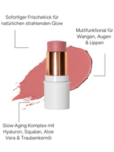 MULTI-USE BLUSH STICK 01 Rosewood